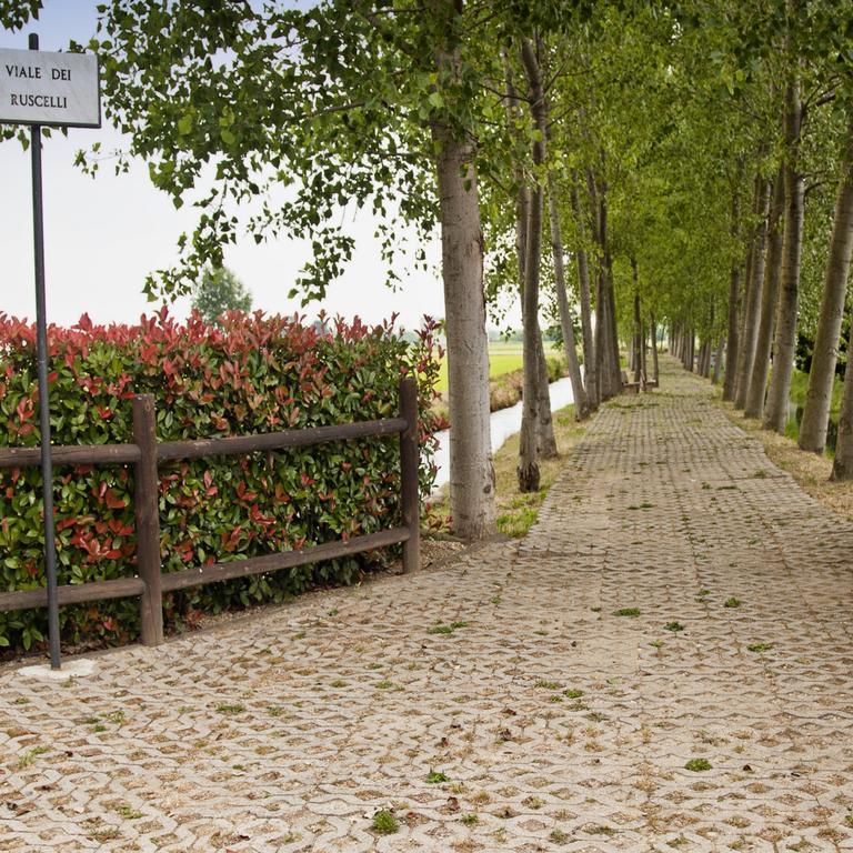 Hotel Novarello Granozzo con Monticello Εξωτερικό φωτογραφία